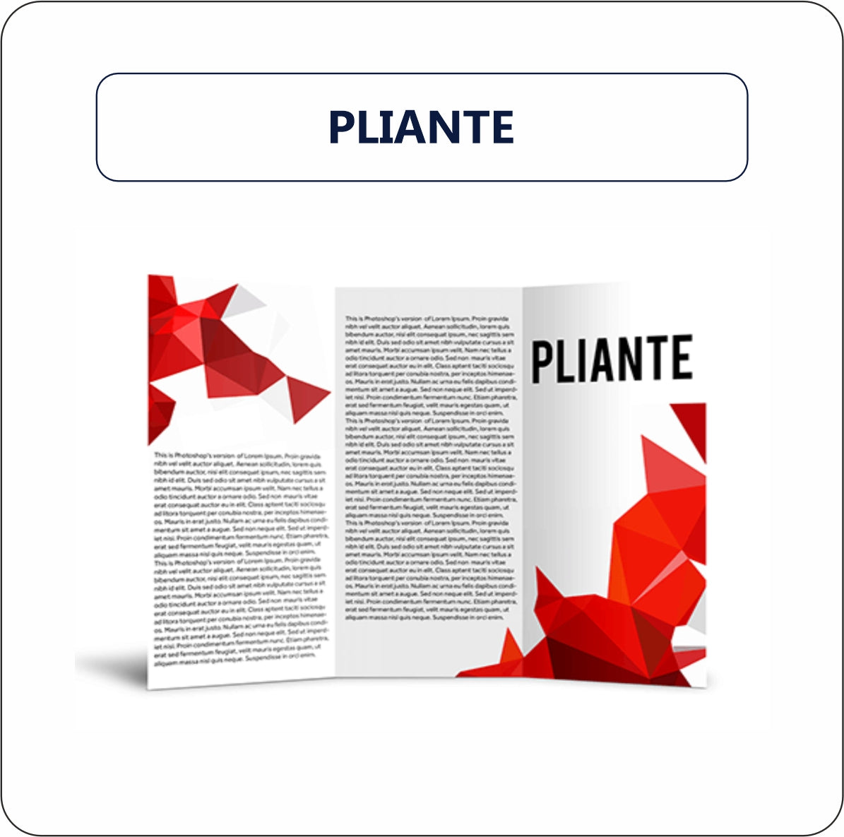 Pliante