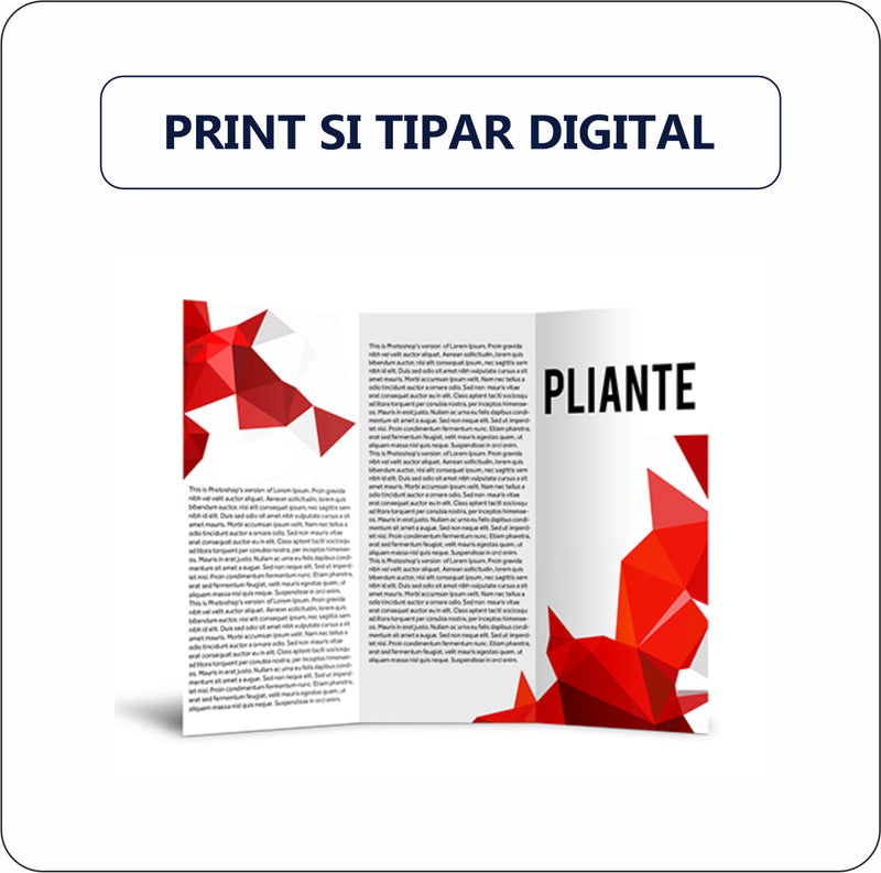 Print si tipar digital