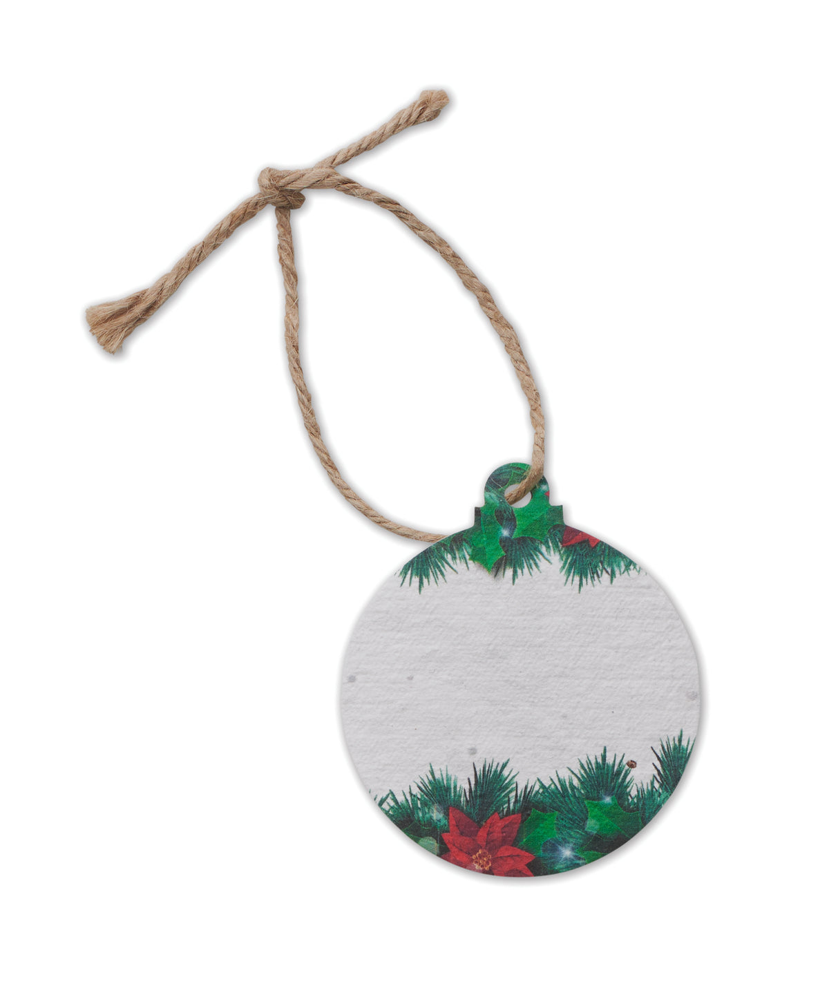Ornament de Crăciun cu semințe
