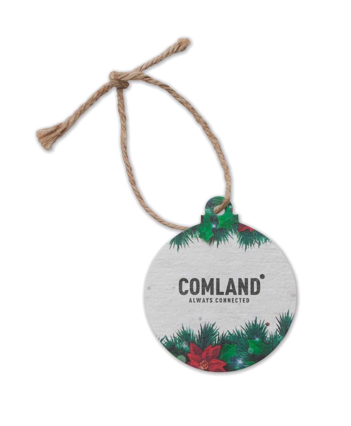 Ornament de Crăciun cu semințe