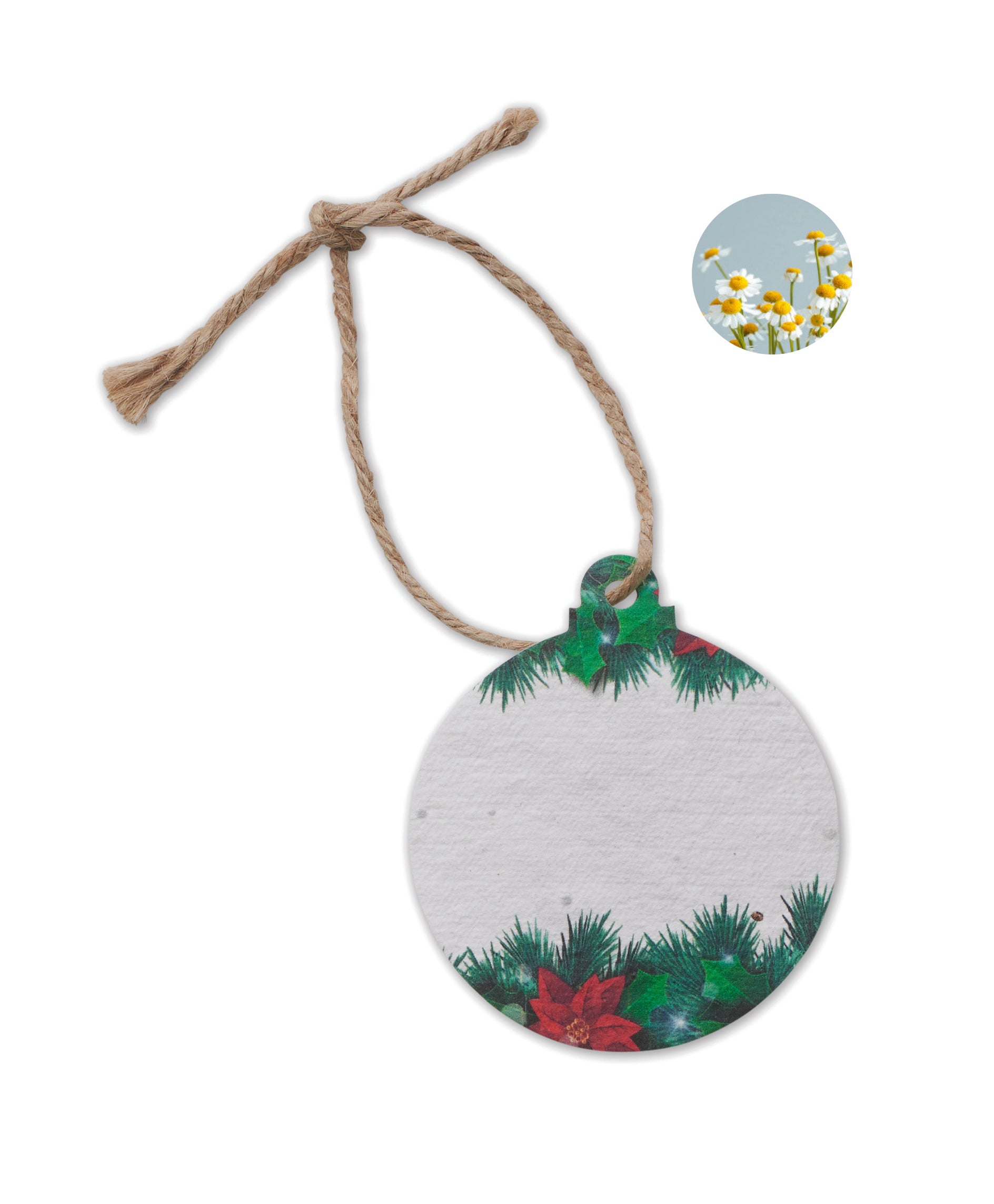Ornament de Crăciun cu semințe