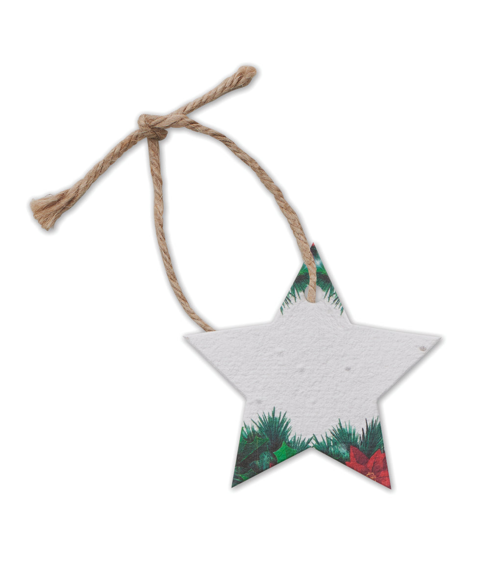 Ornament de Crăciun cu semințe