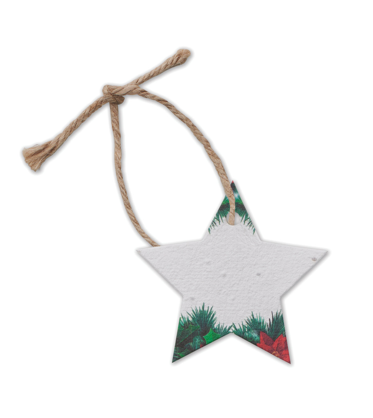 Ornament de Crăciun cu semințe