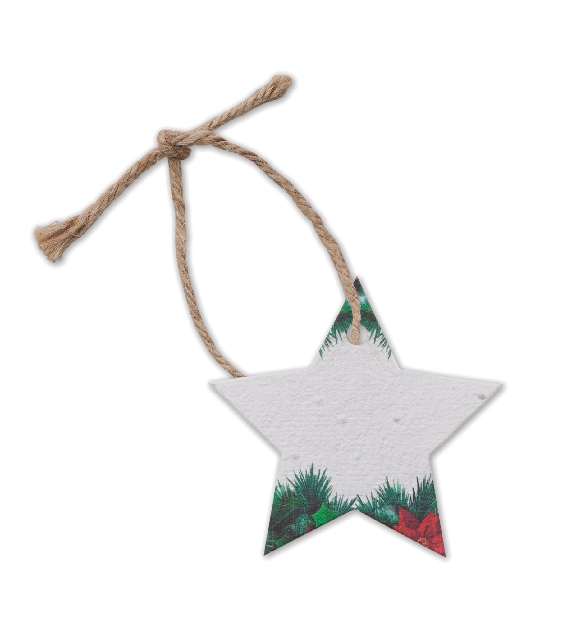 Ornament de Crăciun cu semințe