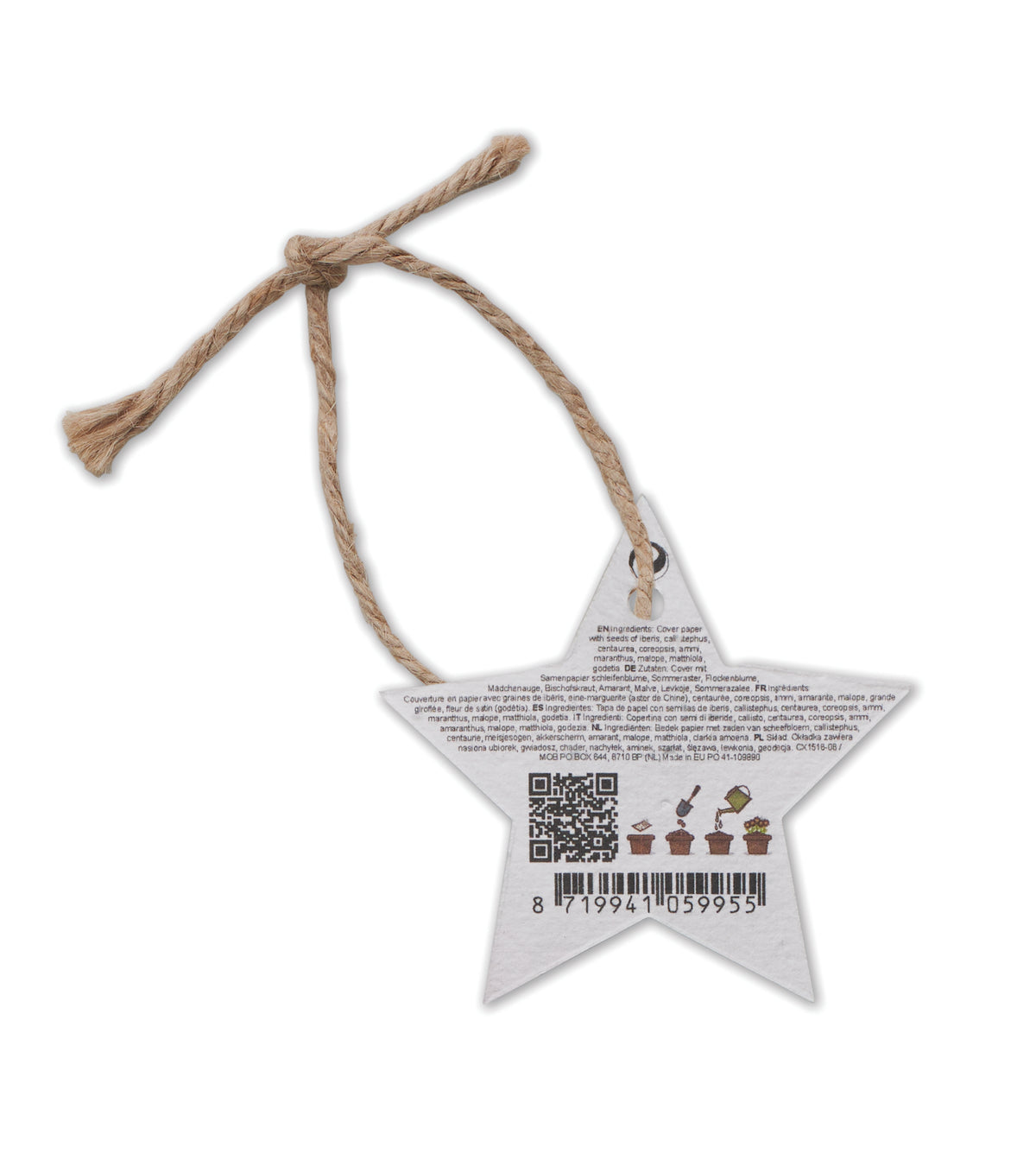 Ornament de Crăciun cu semințe