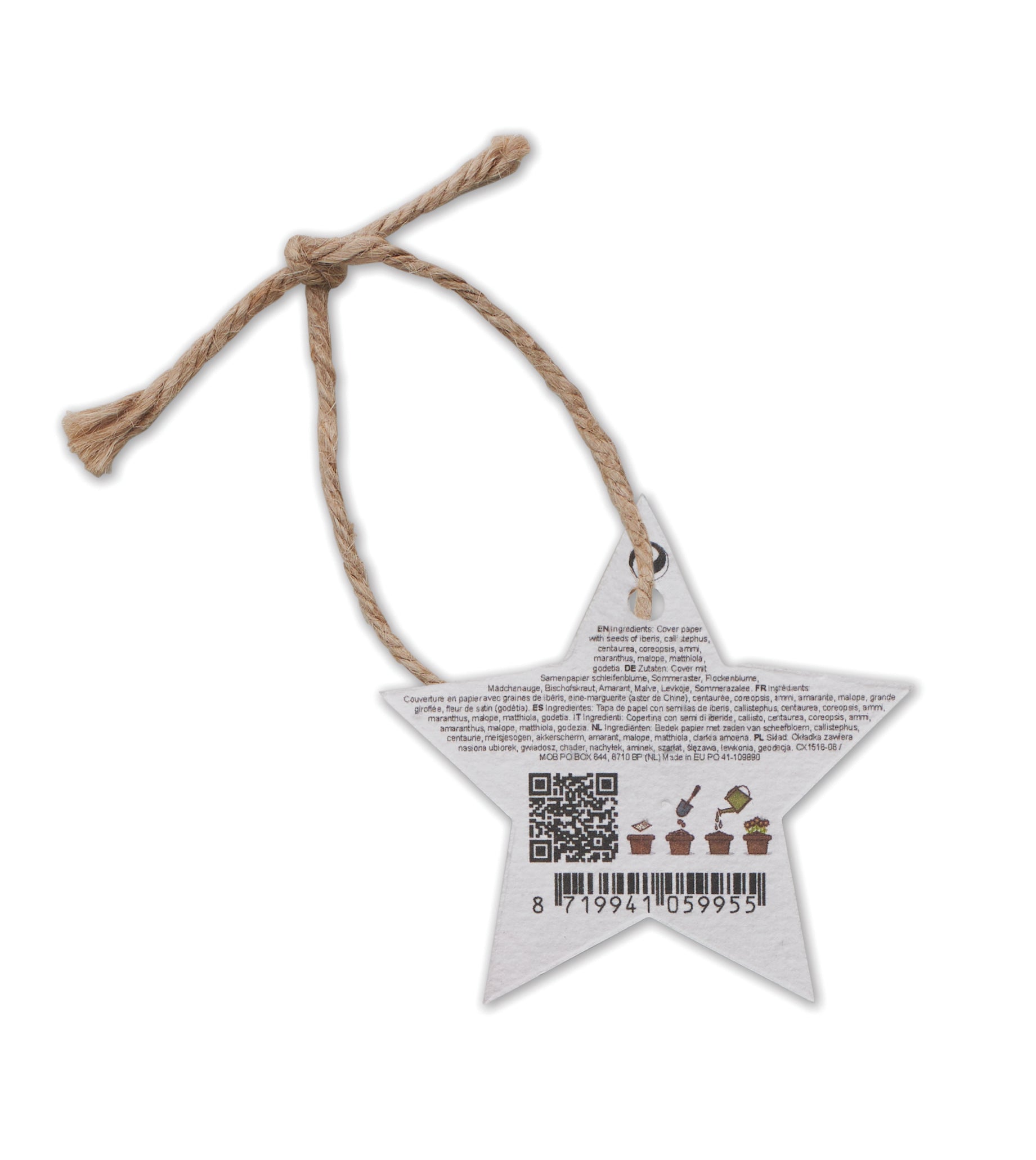 Ornament de Crăciun cu semințe
