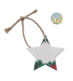 Ornament de Crăciun cu semințe