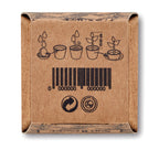 Kit pentru cultivarea florii-so