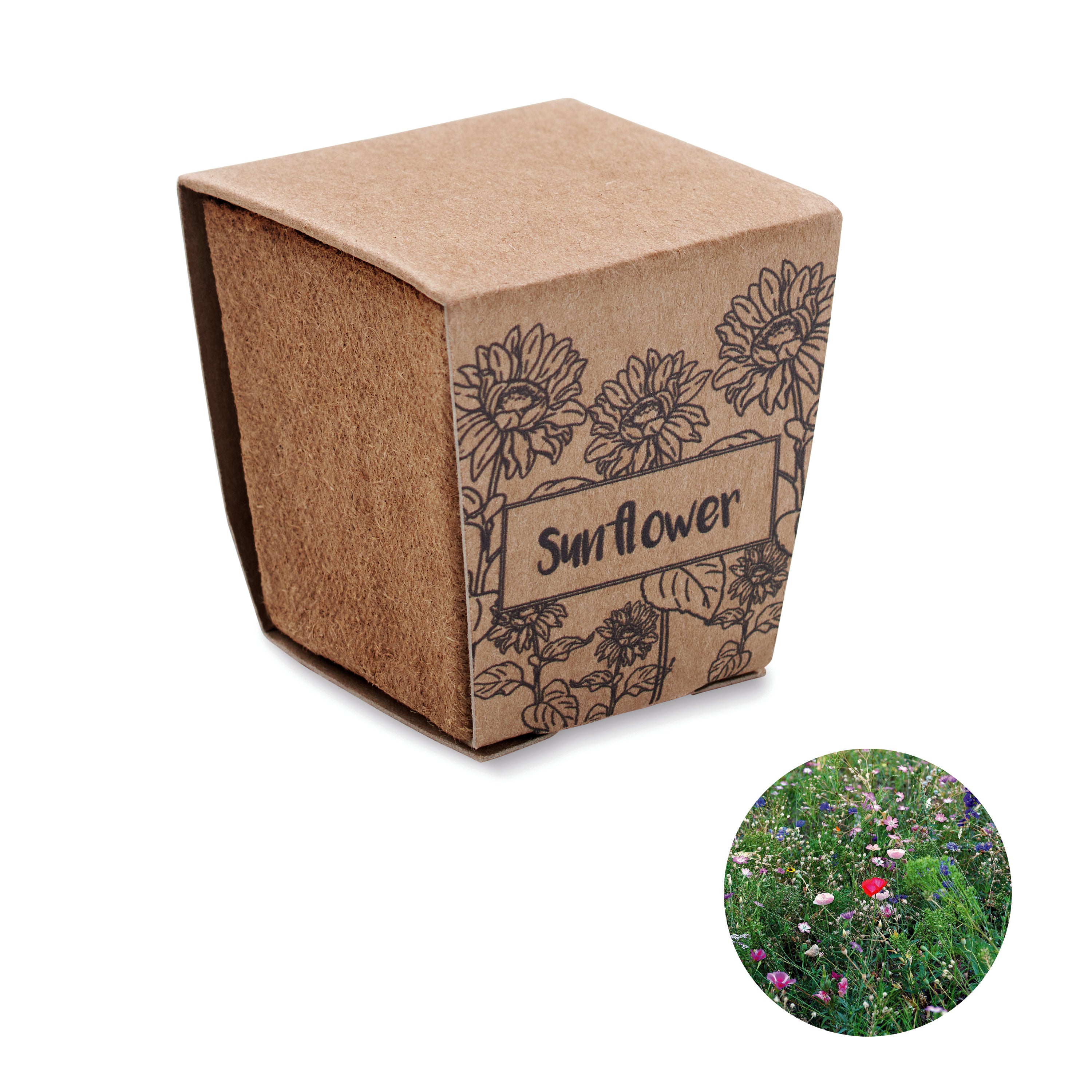 Kit pentru cultivarea florii-so