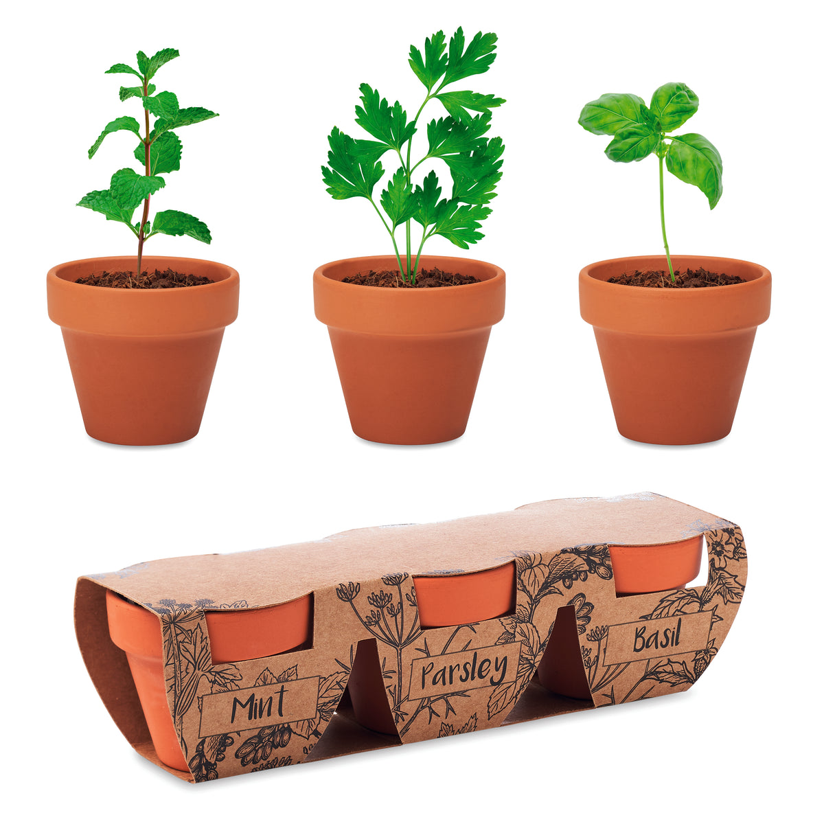 Set vase teracotă - 3 ierburi