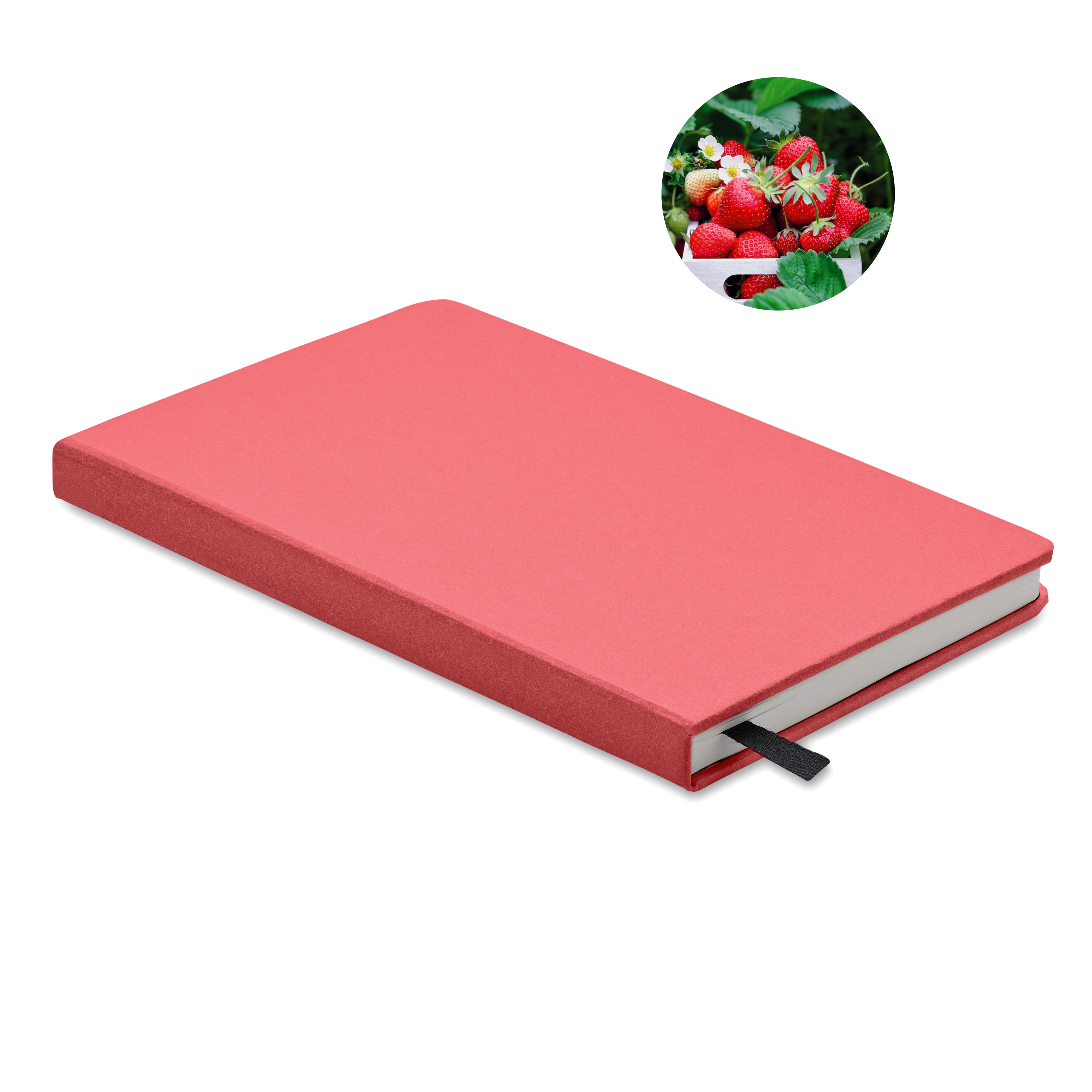 Agendă A5 pagini reciclate