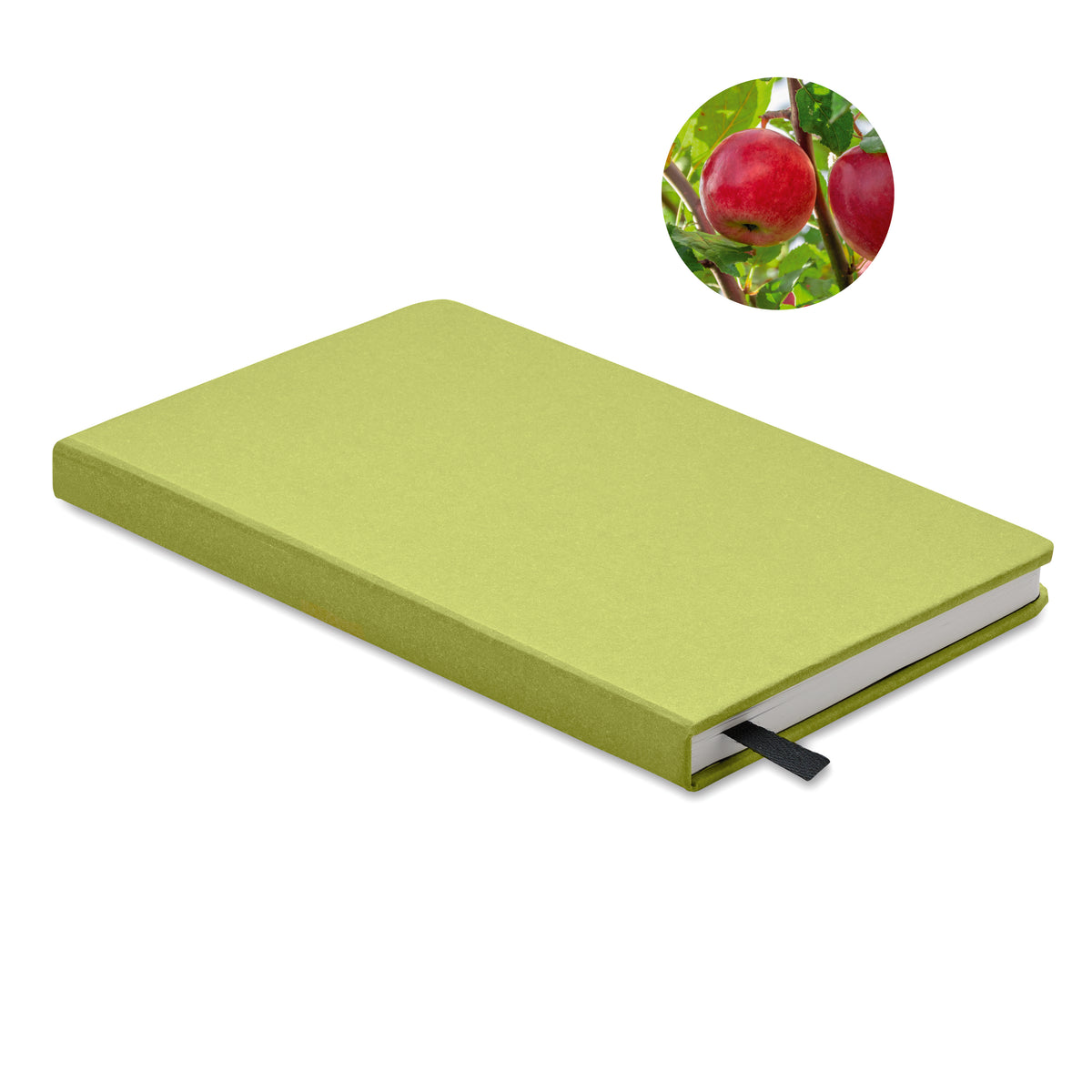 Agendă A5 pagini reciclate