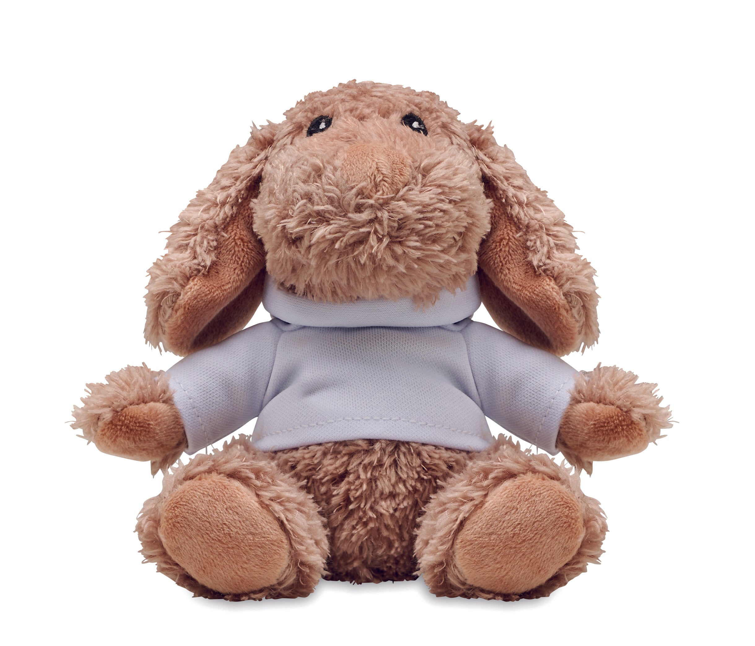 Căteluș de pluș cu hanorac